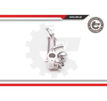 AGR-Ventil ESEN SKV 14SKV119