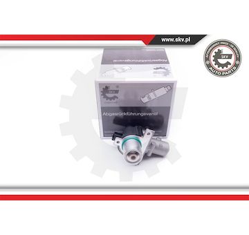 AGR-Ventil ESEN SKV 14SKV163