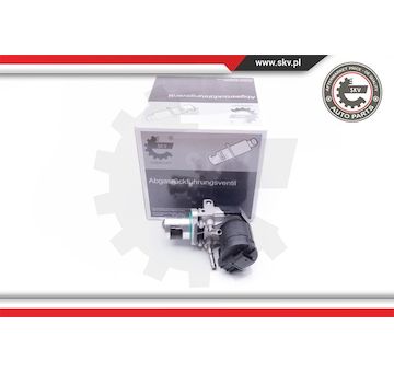 AGR-Ventil ESEN SKV 14SKV169