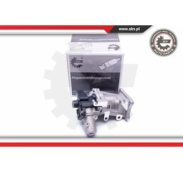 AGR-Ventil ESEN SKV 14SKV171