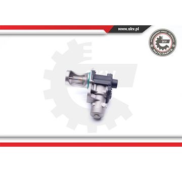 AGR-Ventil ESEN SKV 14SKV172