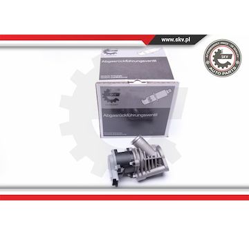 AGR-Ventil ESEN SKV 14SKV173