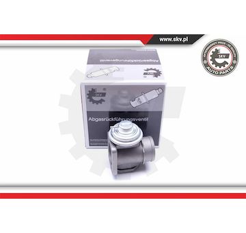 AGR-Ventil ESEN SKV 14SKV174