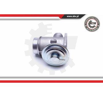 AGR-Ventil ESEN SKV 14SKV176