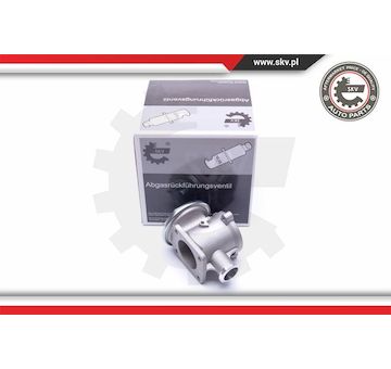 AGR-Ventil ESEN SKV 14SKV178