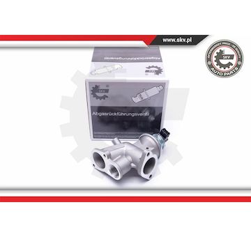 AGR-Ventil ESEN SKV 14SKV181