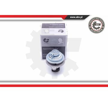 AGR-Ventil ESEN SKV 14SKV182