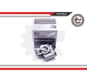 AGR-Ventil ESEN SKV 14SKV184