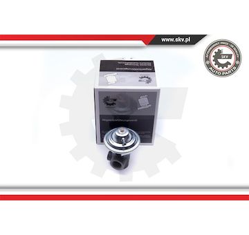 AGR-Ventil ESEN SKV 14SKV187