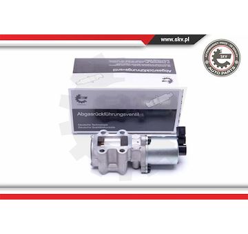 AGR-Ventil ESEN SKV 14SKV200