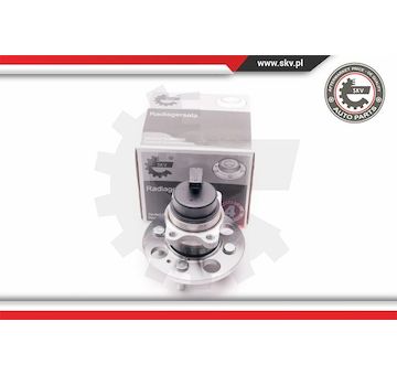 Sada ložisek kol ESEN SKV 29SKV120