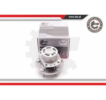 Sada ložisek kol ESEN SKV 29SKV166