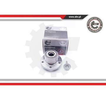 Sada ložisek kol ESEN SKV 29SKV177