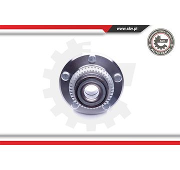 Sada ložisek kol ESEN SKV 29SKV193