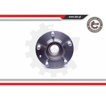 Sada ložisek kol ESEN SKV 29SKV199