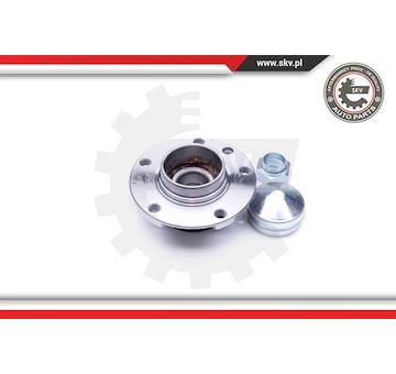 Sada ložisek kol ESEN SKV 29SKV221