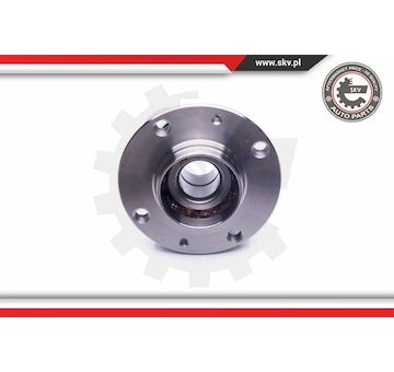 Sada ložisek kol ESEN SKV 29SKV222