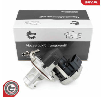 AGR-Ventil SKV GERMANY 14SKV255