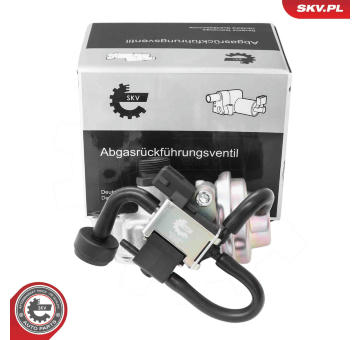 AGR-Ventil ESEN SKV 14SKV268