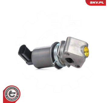 AGR - Ventil ESEN SKV 14SKV293