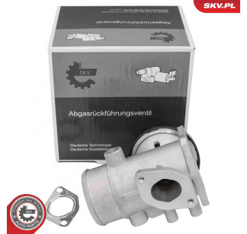 AGR-Ventil ESEN SKV 14SKV298