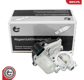 AGR-Ventil ESEN SKV 14SKV299