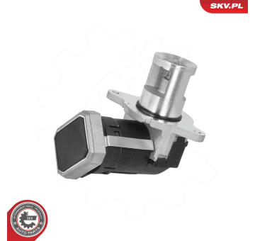 AGR-Ventil ESEN SKV 14SKV306