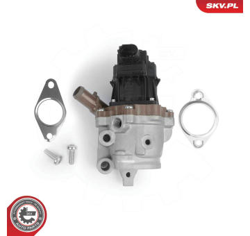 AGR-Ventil ESEN SKV 14SKV313