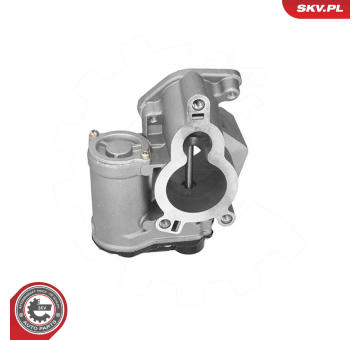 AGR-Ventil ESEN SKV 14SKV317