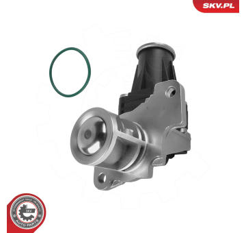 AGR-Ventil ESEN SKV 14SKV318