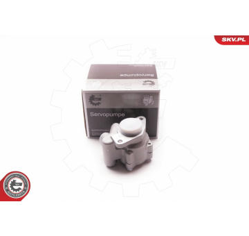 Hydraulické čerpadlo, řízení ESEN SKV 1SKV0010
