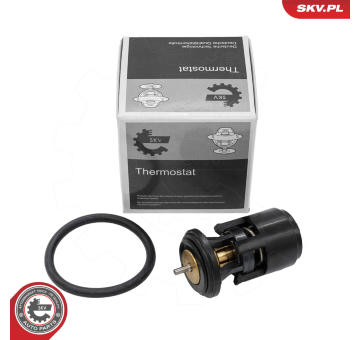 Obal termostatu ESEN SKV 20SKV611