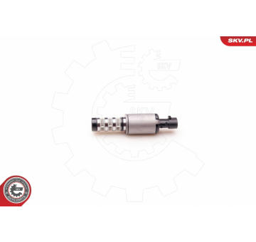 Řídicí ventil, seřízení vačkového hřídele ESEN SKV 39SKV001