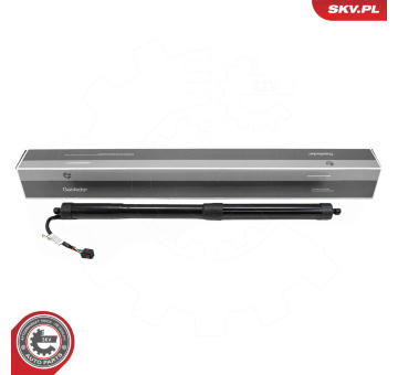 Elektromotor, zadní dveře ESEN SKV 52SKV166