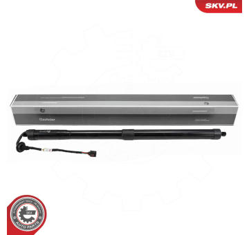Elektromotor, zadní dveře ESEN SKV 52SKV169