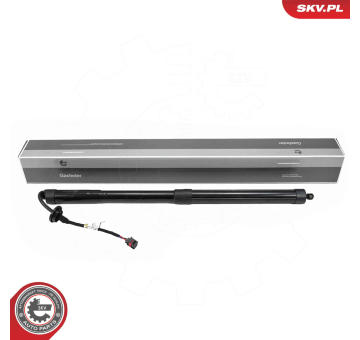 Elektromotor, zadní dveře ESEN SKV 52SKV171