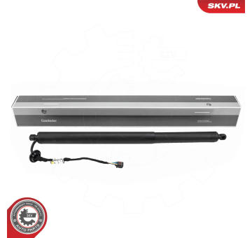 Elektromotor, zadní dveře ESEN SKV 52SKV172