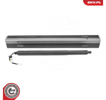 Elektromotor, zadní dveře ESEN SKV 52SKV176