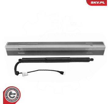 Elektromotor, zadní dveře ESEN SKV 52SKV177