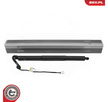 Elektromotor, zadní dveře ESEN SKV 52SKV179