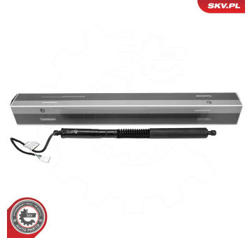 Elektromotor, zadní dveře ESEN SKV 52SKV181