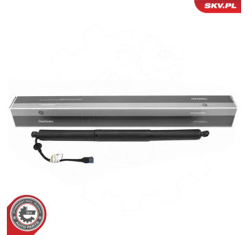 Elektromotor, zadní dveře ESEN SKV 52SKV183