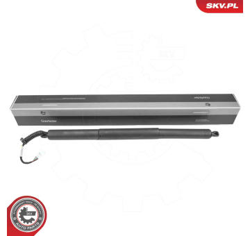 Elektromotor, zadní dveře ESEN SKV 52SKV184