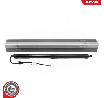 Elektromotor, zadní dveře ESEN SKV 52SKV193