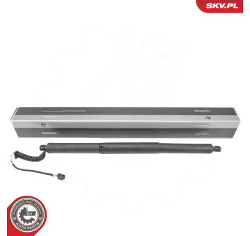 Elektromotor, zadní dveře ESEN SKV 52SKV195