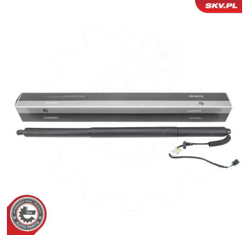 Elektromotor, zadní dveře ESEN SKV 52SKV196