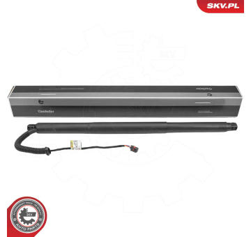 Elektromotor, zadní dveře ESEN SKV 52SKV198