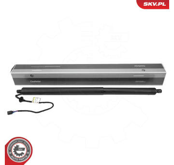 Elektromotor, zadní dveře ESEN SKV 52SKV218