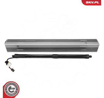 Elektromotor, zadní dveře ESEN SKV 52SKV227