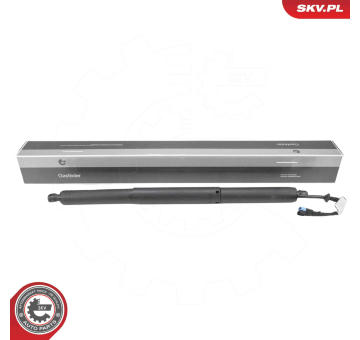 Elektromotor, zadní dveře ESEN SKV 52SKV232